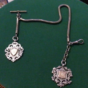 ¿Plata antigua? Cadena de reloj de bolsillo con llaveros de plata con ? Escudos de oro - Imagen 1 de 13