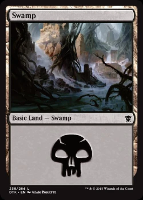 Swamp (258) -Foil Light Play MTG Dragons of Tarkir - Image 1 of 1