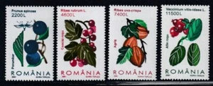 ROMANIA Blackthorn, Red Currant, Gooseberry & Lingonberry MNH set - Picture 1 of 1