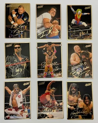 Juego completo de 42 cartas 1994 lleno de acción WWF también conocido como WWE con Sean Michaels y Bret Hart Foto 1 de 4
