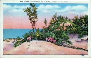 Dünen Michigan State Park South Haven Michigan Postkarte verschickt - Bild 1 von 2
