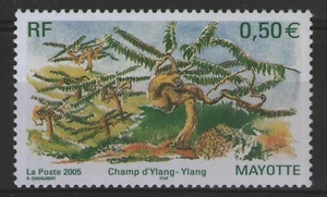 MAYOTTE:  n°170 **, flore, plante, champ d'ylangs-ylangs - Picture 1 of 1