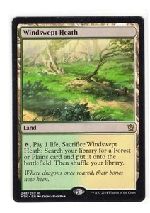 Windswept Heath - Khans of Tarkir (KTK) - Imagen 1 de 2