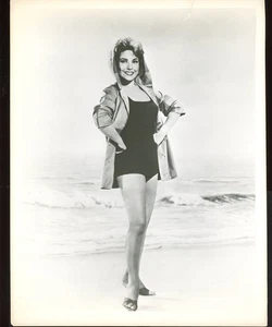 MARGARITA SIERRA Original 1960s Buxom Leggy 8 x 10 Cheesecake Press Photo vv - Picture 1 of 1