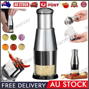 Pressed Garlic Chopper Stainless Steel Masher Crusher for Vegetable Garlic Onion - Picture 1 of 12
