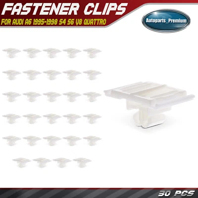 Retenedor de clip de moldura de puerta trasera de nailon de 30 piezas para Audi A6 S4 S6 V8 Quattro Foto 1 de 4