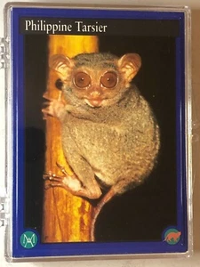 ENVIRONMENTAL ACTION CARDS SERIES 2 1993 COMPLETE CARD SET OF 50 - Picture 1 of 3