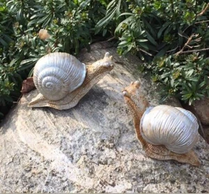2 Schnecken Gartendeko aus Beton Gartenstecker - Bild 1 von 2