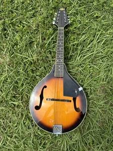 Rogue Fine Instruments Mandolin Model RM-100A - Picture 1 of 17