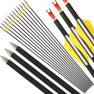 30" Carbon Arrows Archery SP1000 Vanes ID4.2mm Point Recurve Bow Target Shooting - Picture 1 of 18