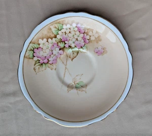 Vintage Paragon Double Warrant Pink & Cream Hydrangea Bloom Saucer - Bild 1 von 5