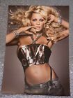 Mac M.A.C Cosmetics Viva Glam Pamela Anderson Collectable Postcard Makeup Rare