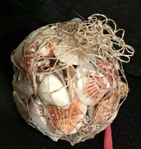 Surtido de conchas marinas naturales en una bolsa de red de fibra ~ 2,5 libras - Imagen 1 de 1