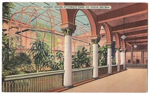 CASA DELLE SCIMMIE a PARCO FORESTALE a ST LOUIS Missouri cartolina MO lino 1946 - Foto 1 di 2