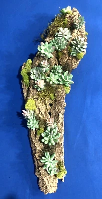 Arte de pared de planta de aire suculento artificial oficina en casa montado en corteza de madera real Foto 1 de 4