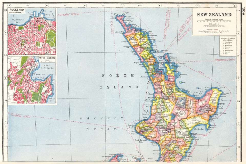 NEW ZEALAND NORTH ISLAND.Inset plans of Auckland & Wellington.Counties 1920 map - Image 1 of 1