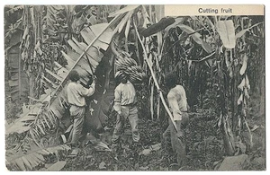 Frühe Costa Rica Postkarte - Bananen schneiden - Bild 1 von 1