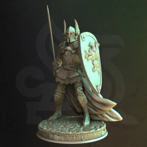 Silus Human Guard Captain Fighter Knight Paladin Miniatur | D&D DnD |  - Bild 1 von 2