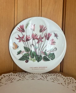 Portmeirion Botanischer Garten Alpenveilchen Efeu Blatt Teller Melamin Servierschale Löffel - Bild 1 von 4