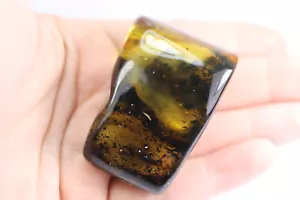 BIG Natural Baltic amber stone with great fly insect inclusion fossil 33,99 gr - Picture 1 of 9