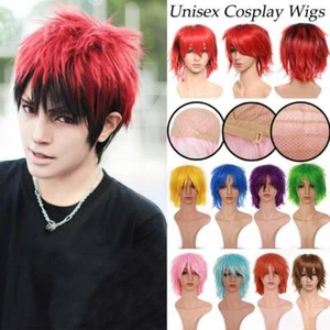 HOT SALE Synthetic Cosplay Full Wig Anime Party Short Hair Wigs Male Female CSHE - Picture 1 of 35