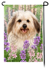Spring Flowers Garden Flag - Cream Sable Havanese - Picture 1 of 1