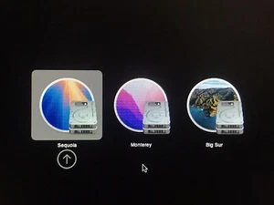 Precarica macOS sul tuo SSD - Sequoia Sonoma Ventura Monterey Bigsur per Mac Pro - Foto 1 di 13