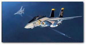 TOMCAT! by Jack Fellows - F-14 Tomcat - Aviation Art Print - Canvas Transfer
