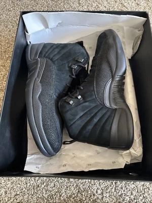 Air Jordan 12 Retro OVO Negro/Dorado Hombre Talla 11 MUESTRA PROMOCIONAL Foto 1 de 4