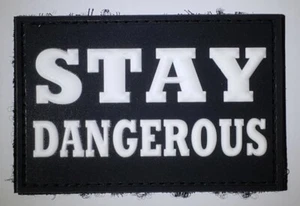 Parche de PVC STAY PELIGROSO 3x2 parche de moral con respaldo de gancho - compañero de FAFO - Imagen 1 de 1