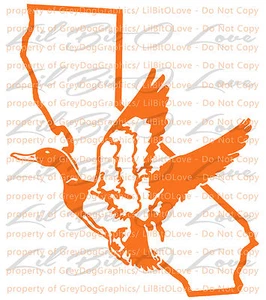 California Duck Hunter einfarbiger Drake Jagd Vinyl Aufkleber Sticker Wasservögel - Bild 1 von 5