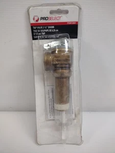 ProSelect T&P Ventil 2 1/2" Schaft PSW12601 Temperaturablassventil. - Bild 1 von 3