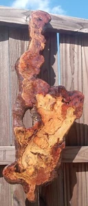 ULTRA Rare! Once in a Lifetime! Southern Red Oak Burl Wood Charcuterie Board USA - Picture 1 of 14