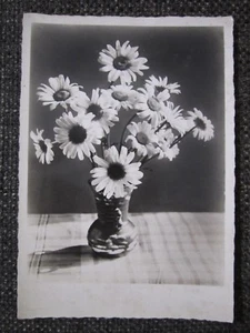 Heinrich Hoffmann 40er Jahre Foto Postkarte #2, Hitlers Fotograf, selten! - Bild 1 von 3