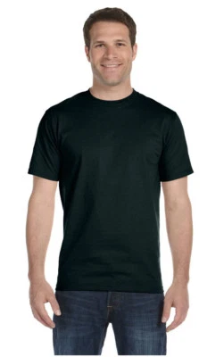 Hanes Mens 100% Cotton Authentic-T T-Shirt S-3XL 5250T - Image 1 of 2