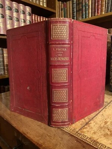Les races humaines. Figuier. 334 gravures et 8 chromolithographies. EO 1872 - Picture 1 of 20