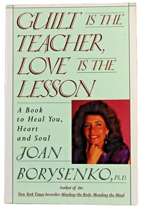 Schuld ist der Lehrer, Liebe ist die Lektion von Joan Borysenko (1990 Taschenbuch) - Bild 1 von 3
