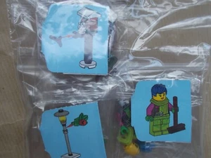 LEGO RAZE LIMPIEZA DE NIEVE Y ALIMENTACIÓN DE LOS PÁJAROS CASA DE PÁJAROS LAMPOST CIUDAD PERSONAJE DE TV - Imagen 1 de 6