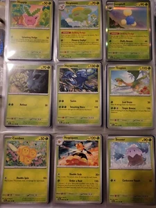 Pokémon Paldea entwickelt alles üblich, ungewöhnlich, Holo selten (175 Karten), plus mehr!!! - Bild 1 von 20