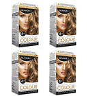 4 X Golden Brown Colour 6 Glamorize 4 Step Advanced Creme Hair Dye Colourant