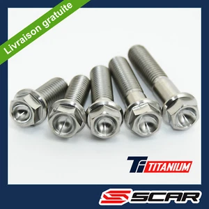 TITANSCHRAUBEN SECHSKANTKOPF M8 x 15 20 25 30 35 40 45 50 (keine 1,25mm) SCAR - Bild 1 von 9