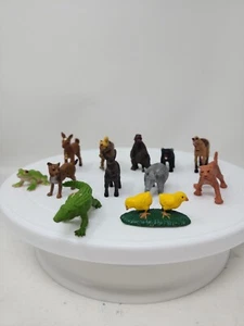 Safari LTD Lot of 12 Mini Animal Figures pony Bobcat Armadillo 2008 frog 2-3.5" - Bild 1 von 7