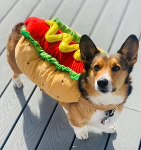Funny Dog Hot Dog Costume – Halloween Pet Outfit for Small & Medium Dogs - Picture 1 of 10