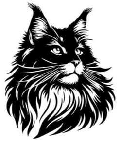 Autoaufkleber, Sticker, MAINE COON, Katzen, Cat, Mietze, 13x10,5cm, 1x Rasse - Bild 1 von 2