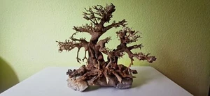 AQUARIUMWURZEL BONSAI AQUASCAPING MAGROWE L39 x H35 x B20 FERTIG BESCHWERT - Bild 1 von 2