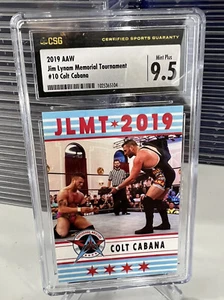 colt cabana 2019 aaw jim Lyman memorial tournament #10 csg 9.5 - Picture 1 of 9