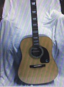 SALE*** Epiphone PR150-NA  Acoust/Elect Guitar with Gig Bag, Excellent Condition - Picture 1 of 15