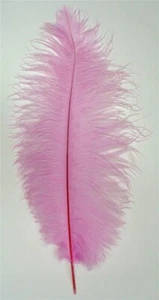 Orchid Ostrich Feather Seconds 12-14 per SIX (6) - Picture 1 of 1