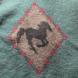 Coldwater Creek Pullover XL Wolle grün Reitsport Cowichan Strickjacke Jacke Pferd - Bild 1 von 13