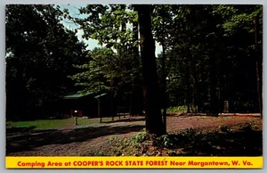 Postcard Morgantown WV c1960s Camping Area at Cooper’s Rock State Forest - Picture 1 of 2